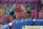 MariaFumaaFestas - Temas Infantis - Homem Aranha,  foto temas motivos de aniversario de criana, temas festa infantil - foto-03